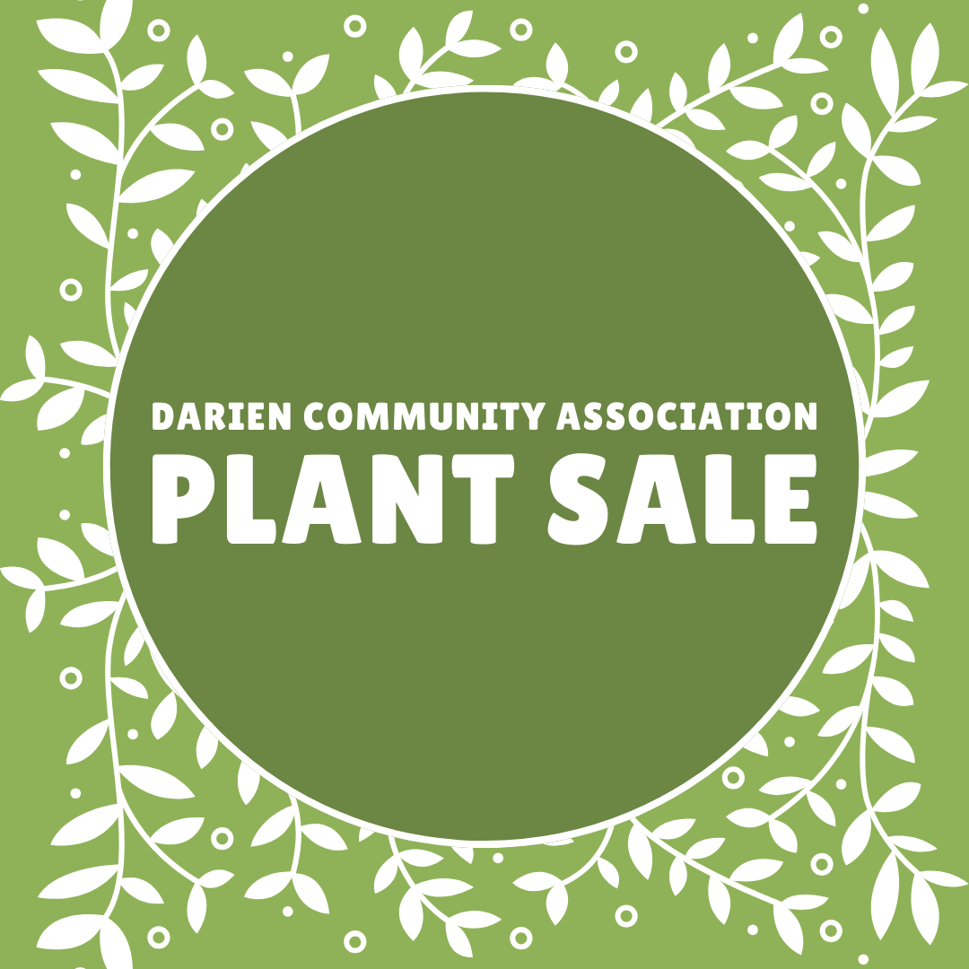 DCA%20Ads%20for%20Program%20(Instagram%20Post).png