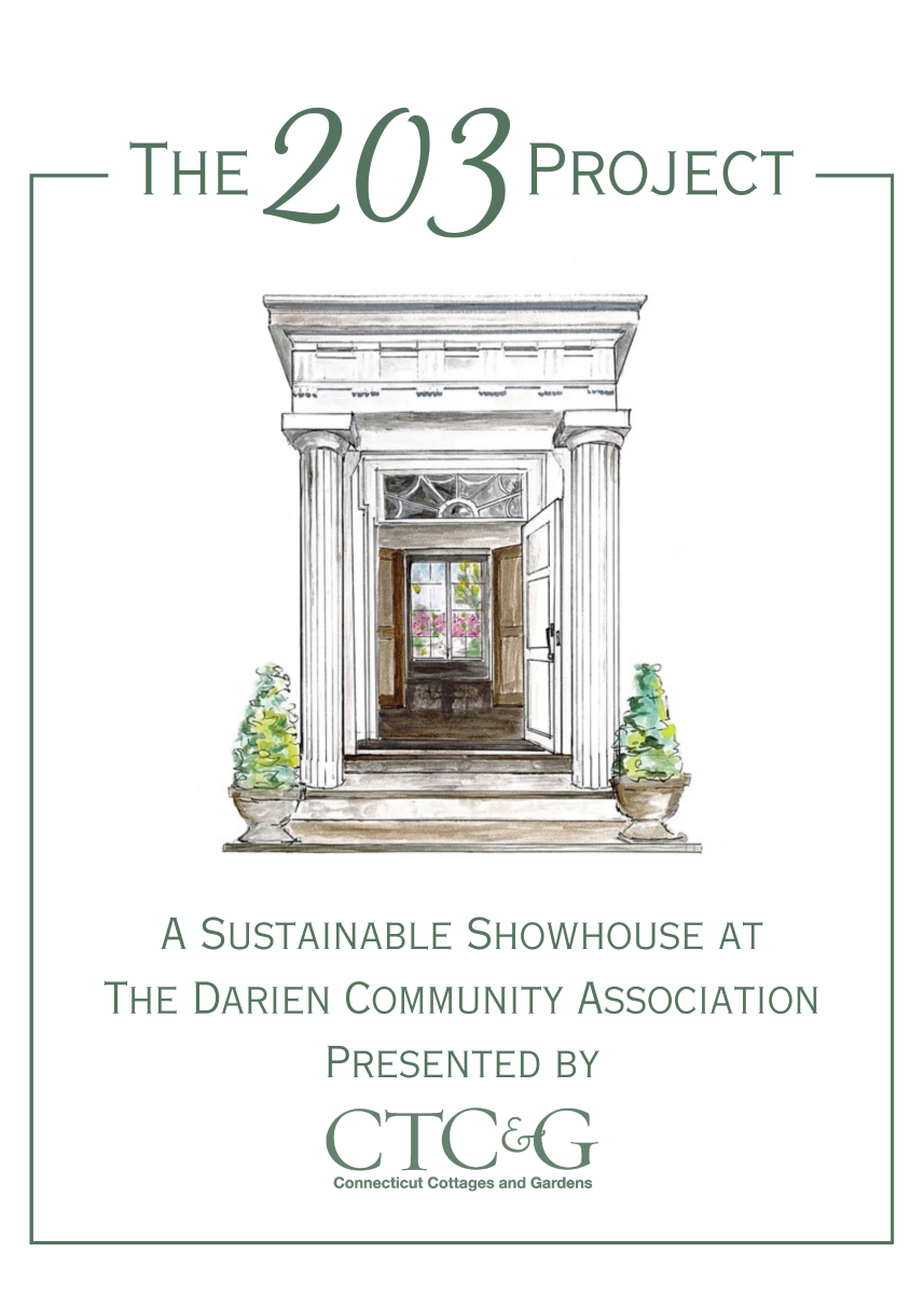The%20203%20Project%20Logo.png